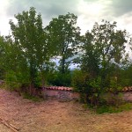 panorama-(1)web